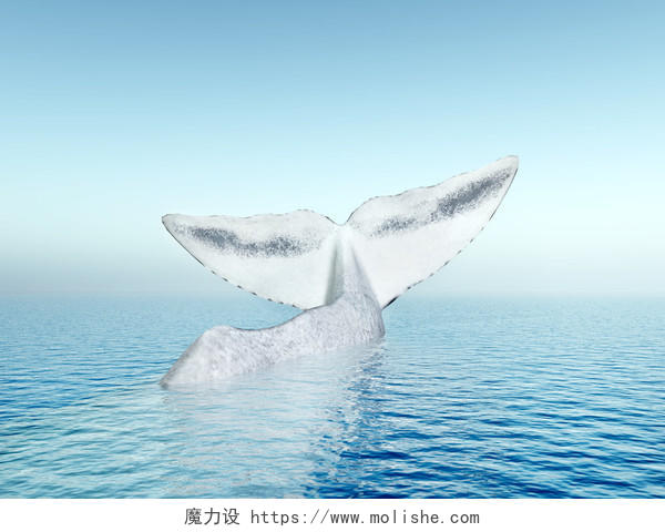 鲸鱼在海面露出尾巴